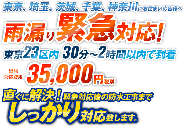 東京、埼玉、茨城、千葉、神奈川にお住まいの皆様へ。無料出張雨漏り調査のご案内