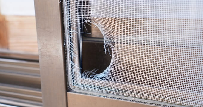 網戸の張り替え