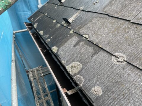 屋根に苔がぎっしりと。次の現場の東京都足立区神明南の外壁塗装工事の足場の架設