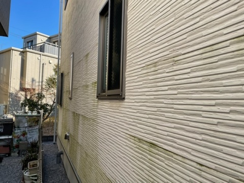 強力防カビ・防藻　超耐候系水性ハイブリッドシリコン樹脂塗料『エスケープレミアムシリコンBIO』