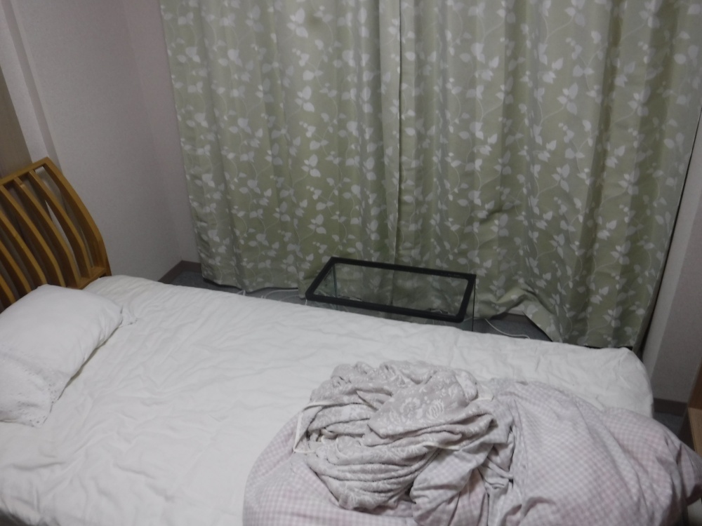 雨漏り緊急対応