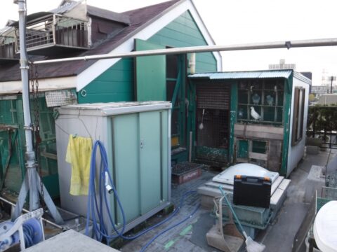 【東京都江戸川区　集合住宅大規模改修工事】屋上に鳩小屋のある現場でした