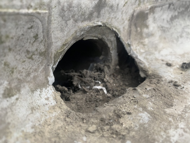 雨漏り発生！雨漏り緊急対応は足立区鹿浜のセイルズにお任せ！
