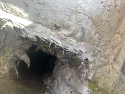 自分で雨漏りを止めようとシーリングをしてみた結果・・・/杉並区西荻の集合住宅の雨漏り原因の排水ドレンを改修