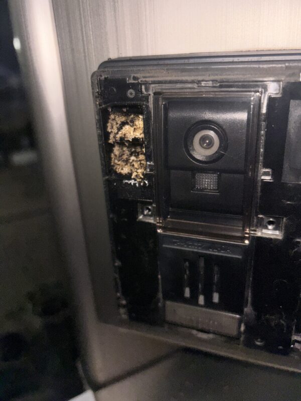 インターフォンの不調の原因はまさかのアリ！害虫駆除、害獣駆除、鳩除け対策は足立区鹿浜のセイルズにお任せインターフォン故障の原因はまさかのアリ！害虫・害獣・鳩対策もセイルズにお任せ【足立区鹿浜】