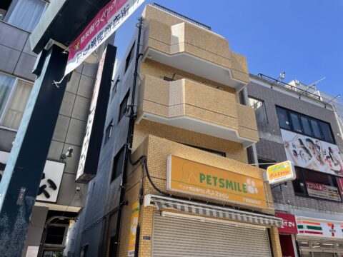 人通りの多い商店街でも外壁塗装はできる？雨漏りしている外壁タイルをセブンエス防水で施工