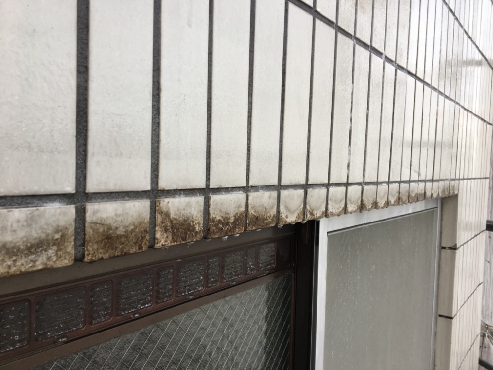 タイル薬品洗浄