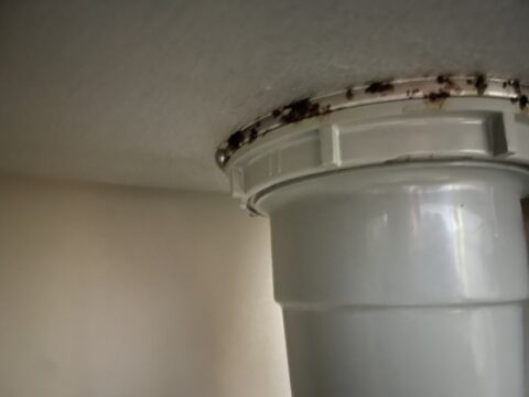 セイルズでは水道設備の水漏れの対応も致します。@水漏れ緊急対応