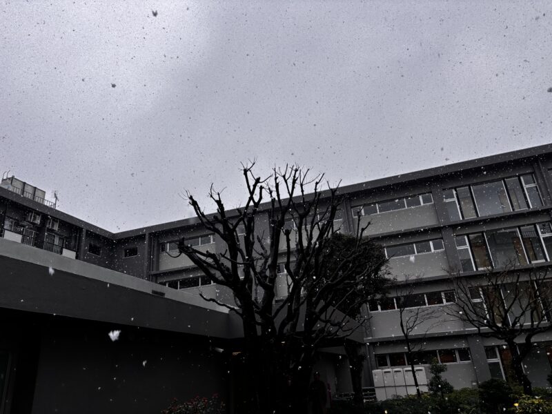 3月の都内でまさかの雪！塗装屋が雪に「ヒヤヒヤ」する切実な理由