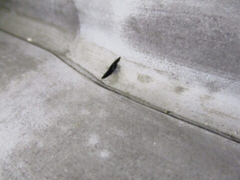 急な雨漏りもお任せください。24時間対応可能なセイルズの雨漏り緊急対応！