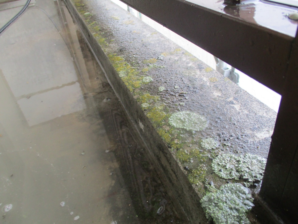 トルネード高圧洗浄