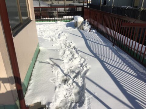 大雪の後は雨漏りに注意！雪による雨漏りの緊急対応は足立区鹿浜のセイルズまで！