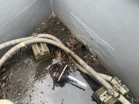 屋上の排水は大丈夫ですか？？落ち葉やゴミが詰まって雨漏りする危険があります。定期清掃をお勧めします。