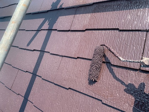 屋根の塗装は遮熱塗料！！暑い夏は遮熱塗料で乗り切りましょう。/台東区根岸の屋根塗装