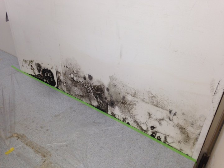 CASE2．塗り替え後に雨漏りやカビが発生するようになった！
